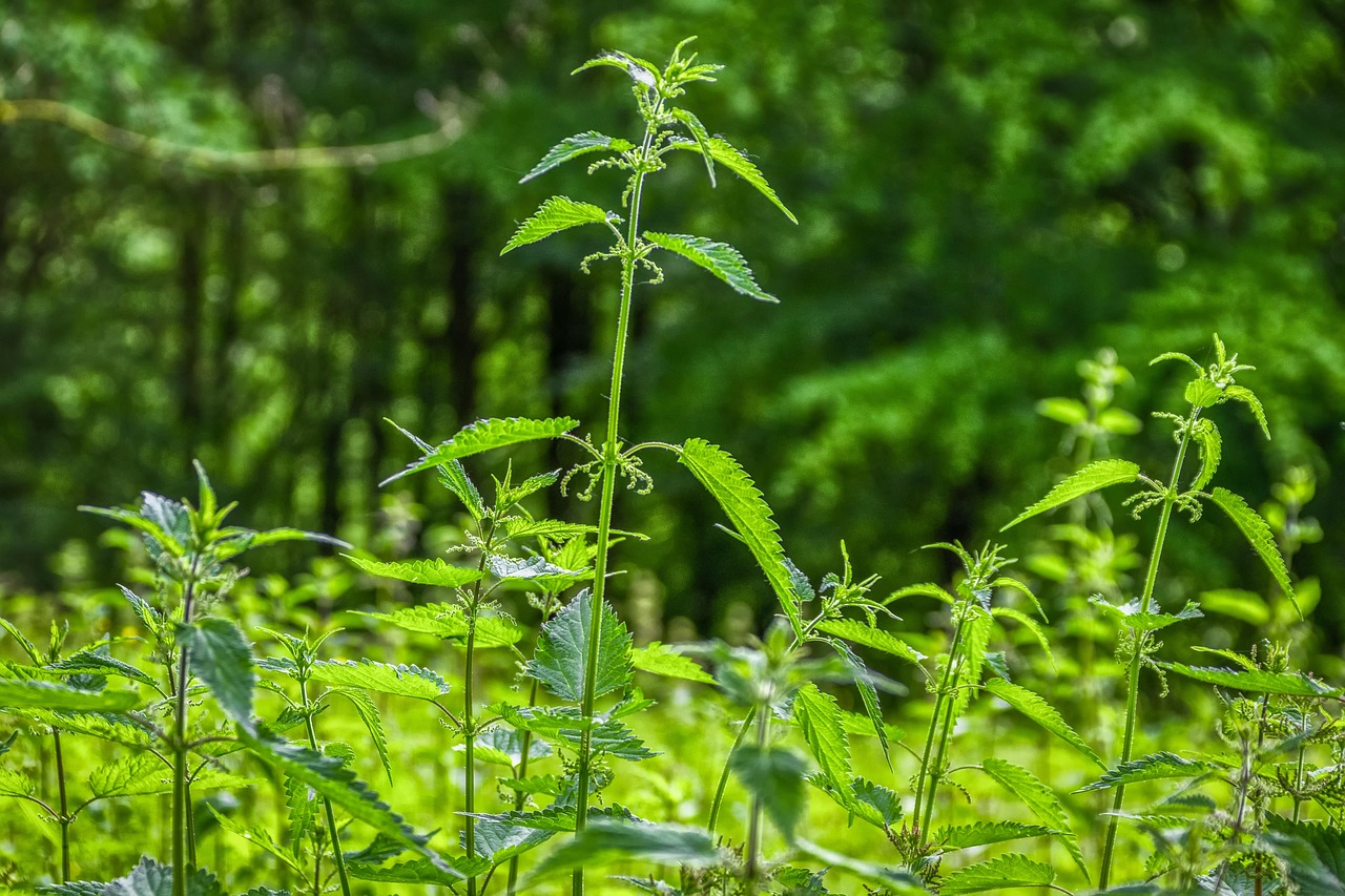 5 miti comuni su Prostaction: sfatiamoli insieme