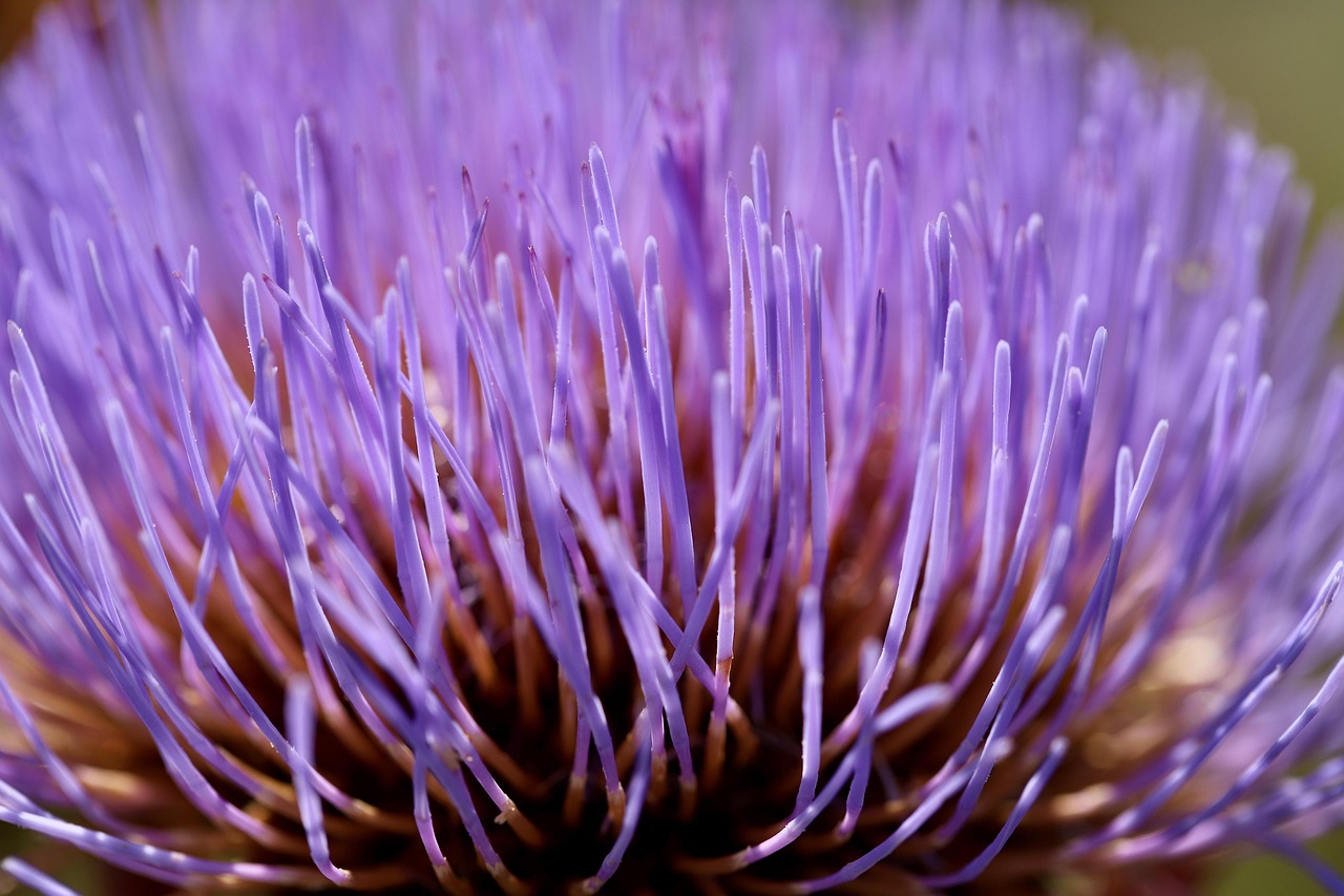 Comprendere le recensioni negative su Prostaction: verità o mito?